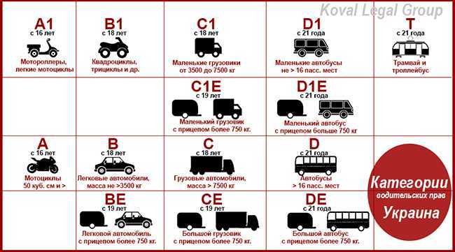 Нужны ли права на мотоблок, является ли он транспортным средством?