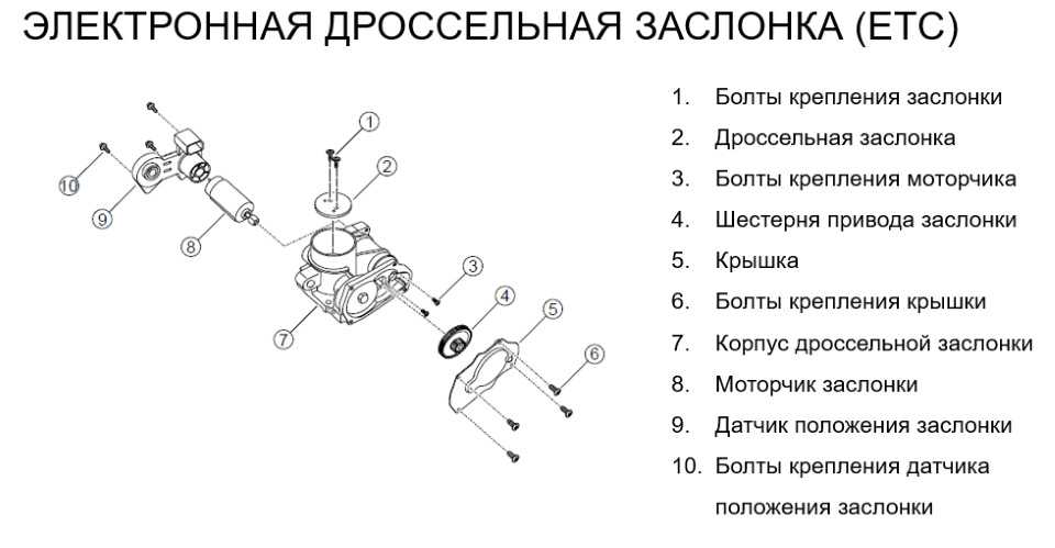 Как самостоятельно выполнить регулировку дроссельной заслонки?