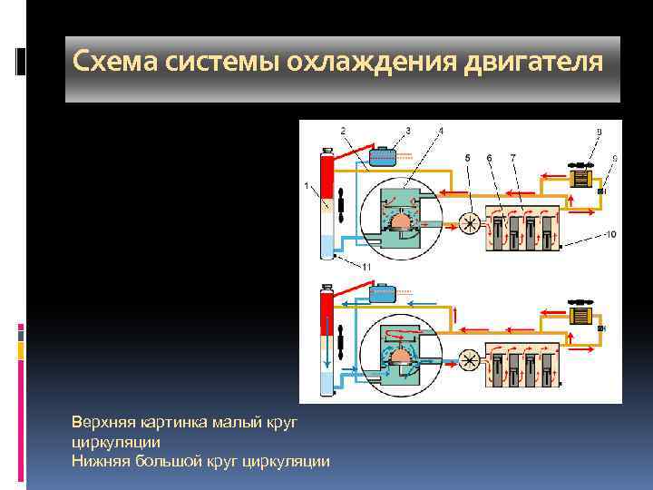 По какому кругу циркулирует жидкость на этом рисунке