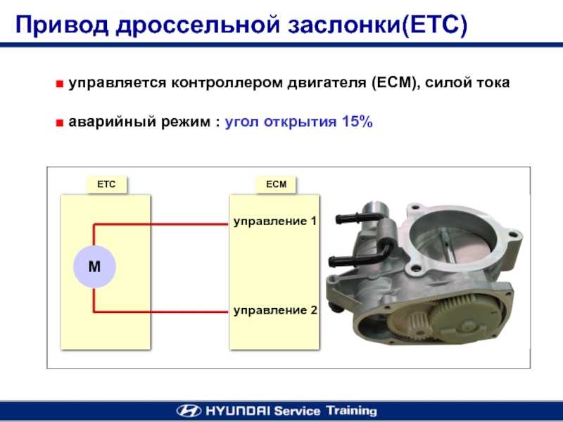 Что такое дроссельная заслонка в автомобиле? принцип работы