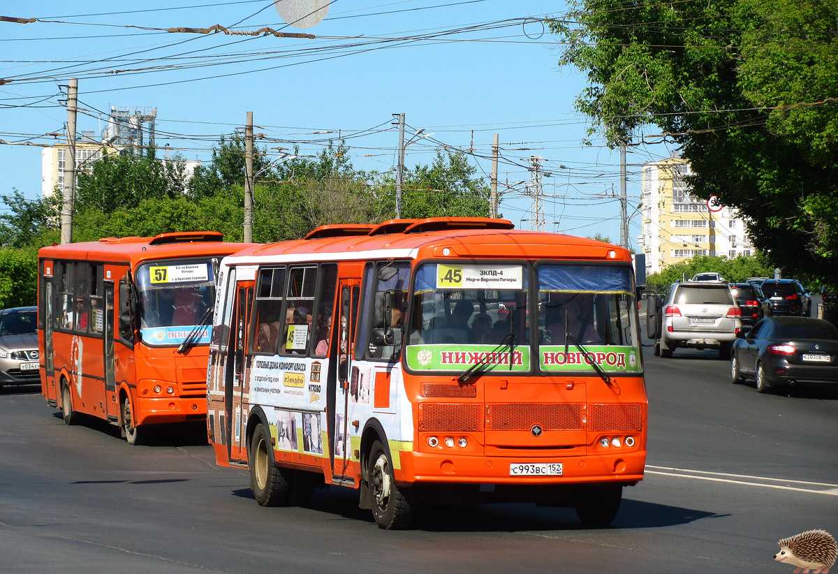 Паз 4234 – характеристики дизельного автобуса