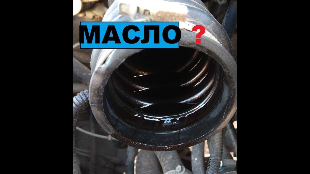 Причины появления масла в воздушном фильтре и способы устранения