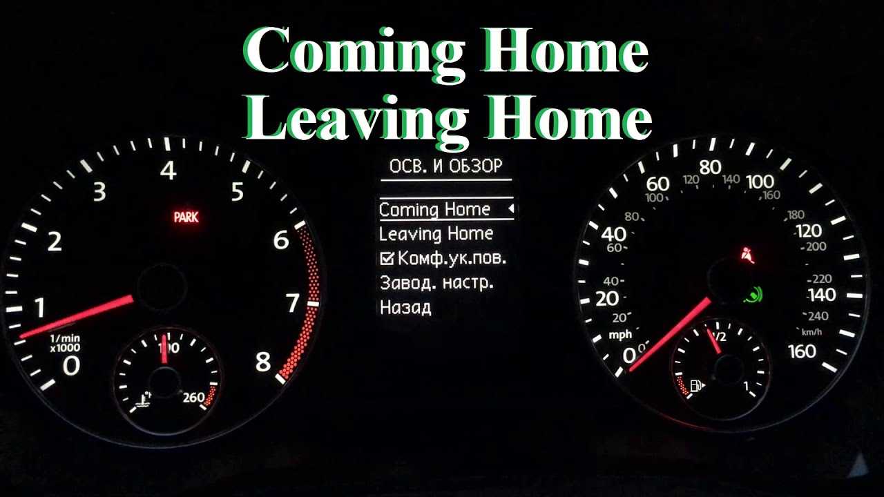 Coming home шкода