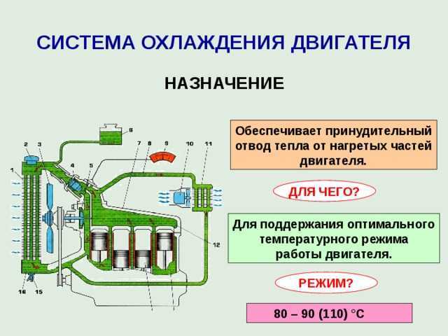Система охлаждения двигателя: функции, устройство, неисправности, уход