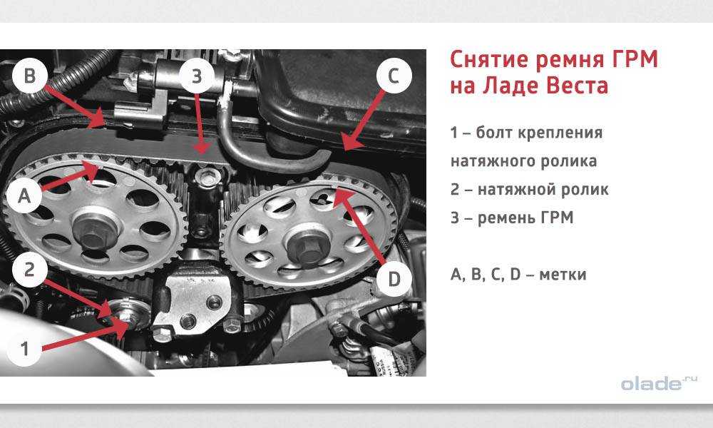 Натяжители цепи для автомобиля: обзор, особенности и замена :: syl.ru