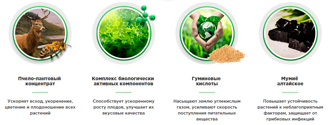 Лучшие экономители топлива