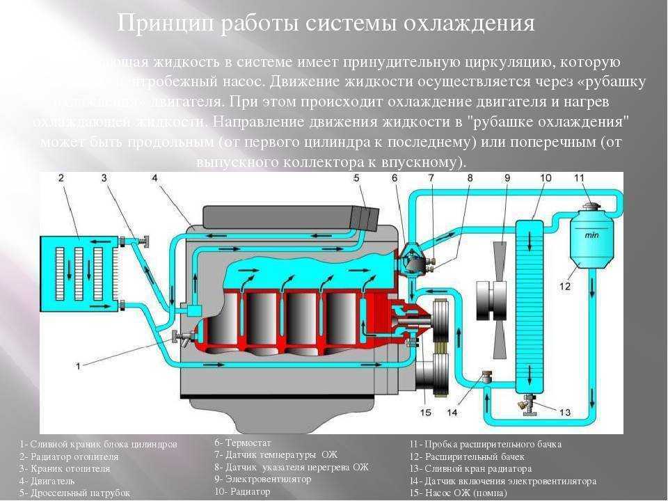 Система охлаждения двигателя: схема, устройство, неисправности, ремонт
